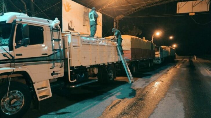 Evasión Tributaria: Gendarmería secuestró 58 toneladas de soja