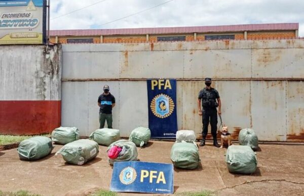 Policía Federal secuestró más de 180 kilos de marihuana en Puerto Iguazú 2