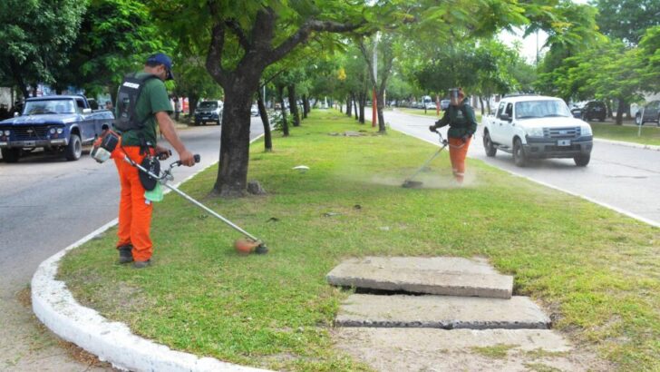 El Municipio capitalino desarrolló un fuerte operativo de limpieza y saneamiento a lo largo de la avenida Hernandarias