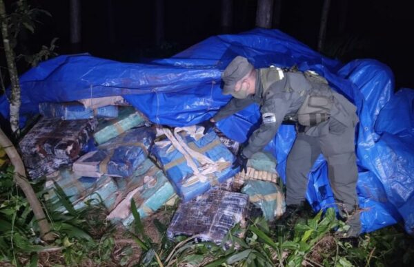 Gendarmería secuestró más de 4 toneladas de marihuana escondida en la maleza misionera