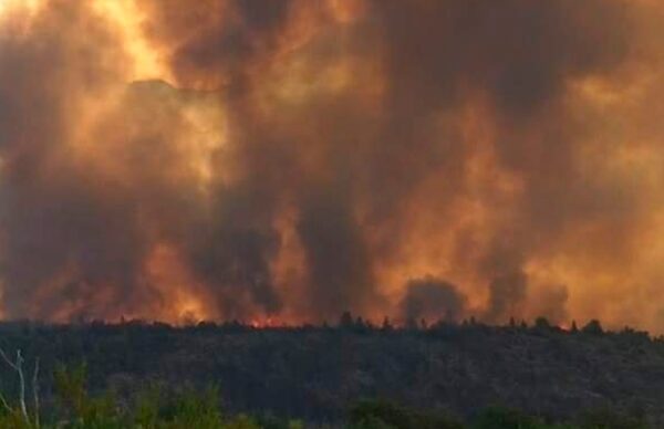 Incendio en El Bolsón: declaran el estado de emergencia y desastre 2