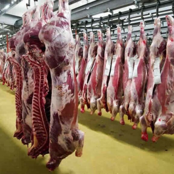 Kulfas y Español supervisaron la implementación del acuerdo de precios para la carne 2