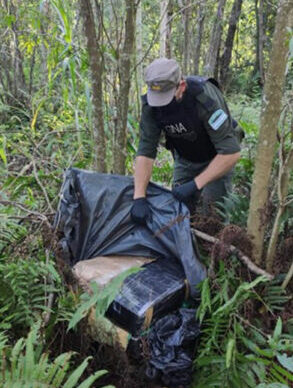Misiones: Gendarmería secuestró 59 kilos de marihuana ocultos en el monte 2