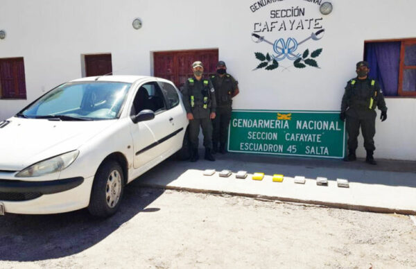 Salta: Gendarmería secuestró más de 8 kilos de cocaína 1