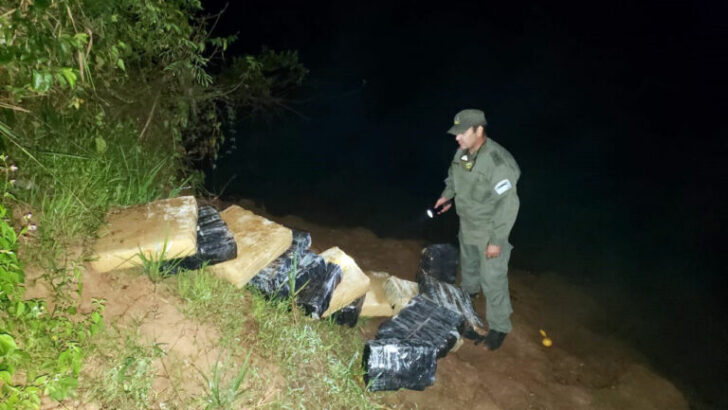 Gendarmería encontró 249 kilos de marihuana a orillas del Río Paraná