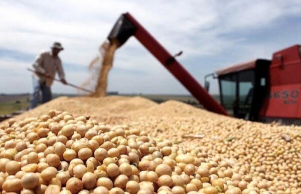 Mercado de Chicago: la soja y el trigo alcanzan nuevos valores máximos
