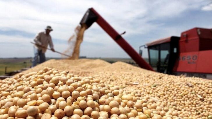 Mercado de Chicago: la soja y el trigo alcanzan nuevos valores máximos