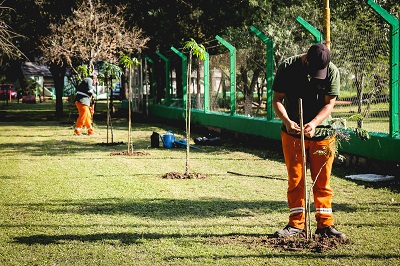 Resistencia: el Municipio plantó 50 especies de árboles en el camping de la Amudoch