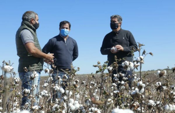 Chaco Reactiva: el gobernador Capitanich visitó una planta textil y otra de faena y chacinados; 3