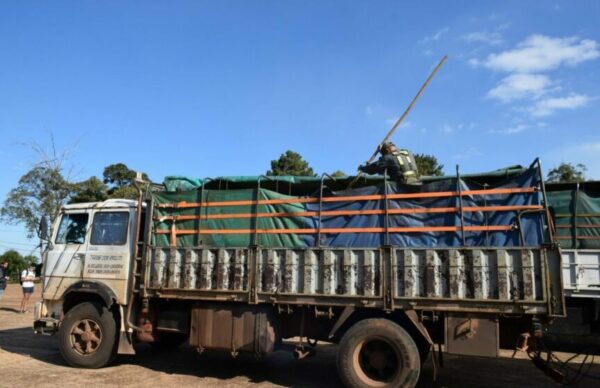 Contrabando de granos en Corrientes: Gendarmería decomisó 52 toneladas de soja 1