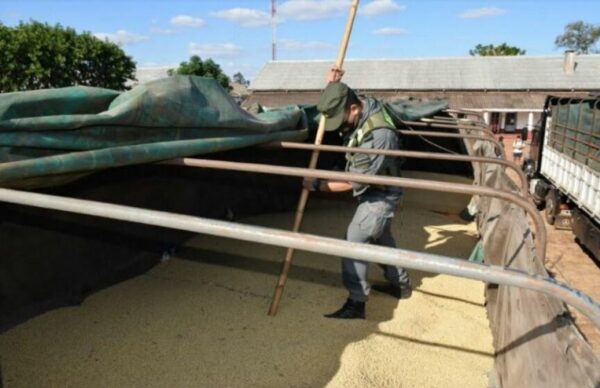Contrabando de granos en Corrientes: Gendarmería decomisó 52 toneladas de soja
