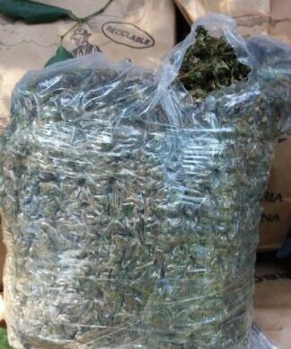 Misiones: secuestran más de 216 kilos de marihuana en el monte