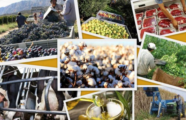 Economías regionales: bajan a cero las retenciones a exportaciones de 67 productos agroindustriales