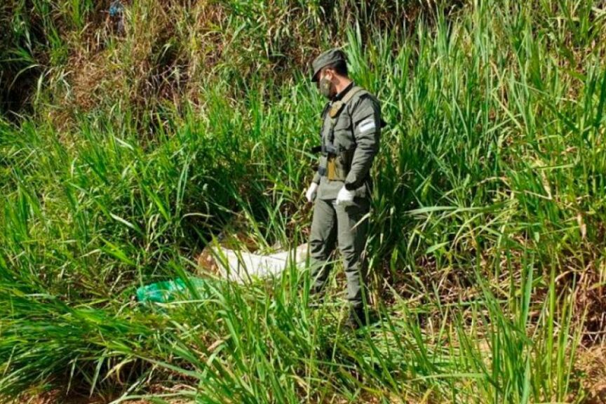 Gendarmería secuestro 55 kilos de marihuana abandonado a orillas del Río Paraná