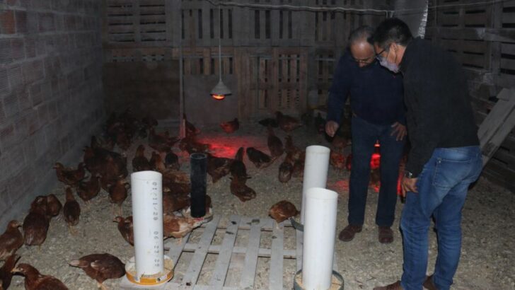 Fundación El Sol Sale para Todos: Gustavo Martínez valoró el proyecto de granja para la cría de gallinas ponedoras