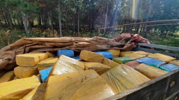 Narcotráfico: secuestraron un cargamento de más de 5.300 kilos de marihuana