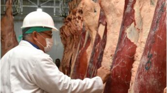 Advierten que no permitirán “abusos” con los precios de la carne