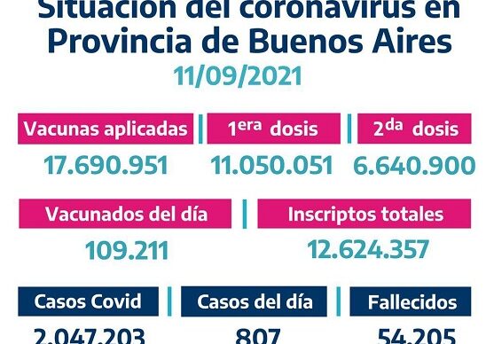 Argentina lleva más de 100 días de descenso de casos, internaciones y muertes por Covid 19 5