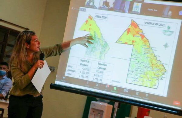 Bosques nativos: comienzan los talleres participativos de consulta de cara al nuevo mapa de ordenamiento territorial