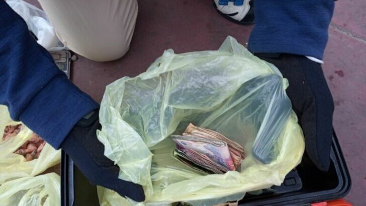 Cinturón Sur: Gendarmería secuestró 335 envoltorios con cocaína y marihuana