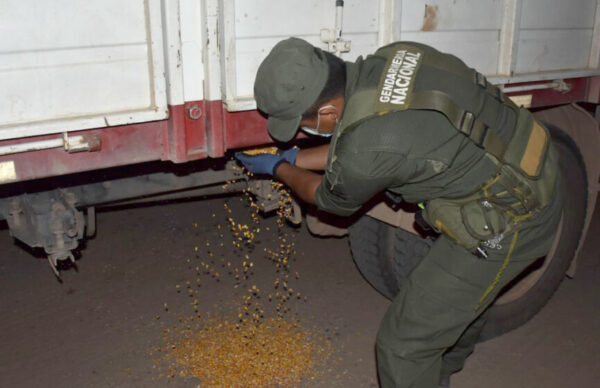 Contrabando de granos: Gendarmería secuestró 61 tonelas de maíz