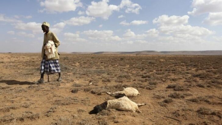 El Banco Mundial advierte que el cambio climático puede hacer migrar a 216 millones de personas