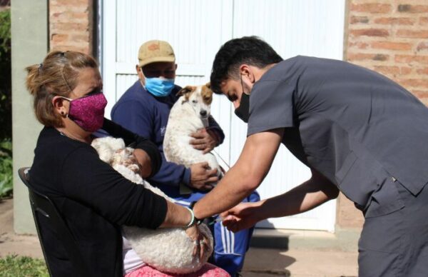 "Bromatología en tu barrio" sigue cuidando las mascotas de Barranqueras 2
