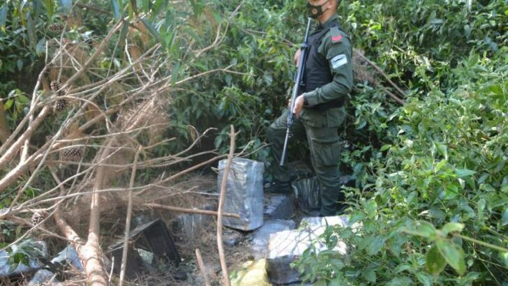 Misiones : Gendarmería secuestró 3.219 kilos de marihuana acopiadas en el monte