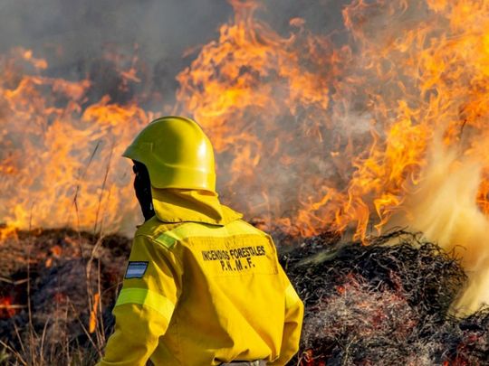 Tierra del Fuego en alerta por los focos de incendios forestales