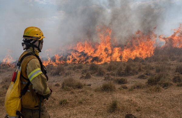 Corrientes en llamas: Brigadistas de 6 provincias buscan contener los incendios forestales 4