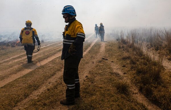 Corrientes en llamas: Brigadistas de 6 provincias buscan contener los incendios forestales 5