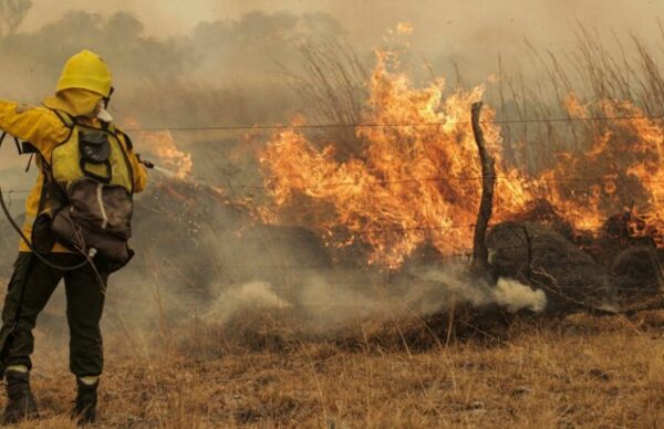 Incendios en Corrientes: el control de los focos ígneos está por encima del 70% 1