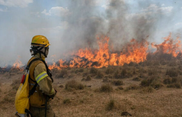 Incendios en Corrientes: el control de los focos ígneos está por encima del 70% 4