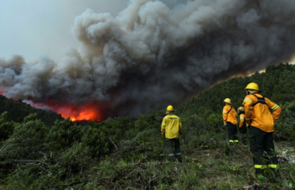 Incendios forestales: cuatro provincias continúan con focos activos 1