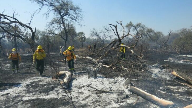 La situación de incendios en la provincia se redujo un 50%