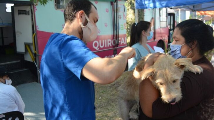 “Mi Mascota”, para la castración gratuita de animales, llega este miércoles al barrio Bettina Vázquez de Resistencia