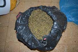 Misiones: Gendamería secuestró más de 14 kilos de cogollos de marihuana