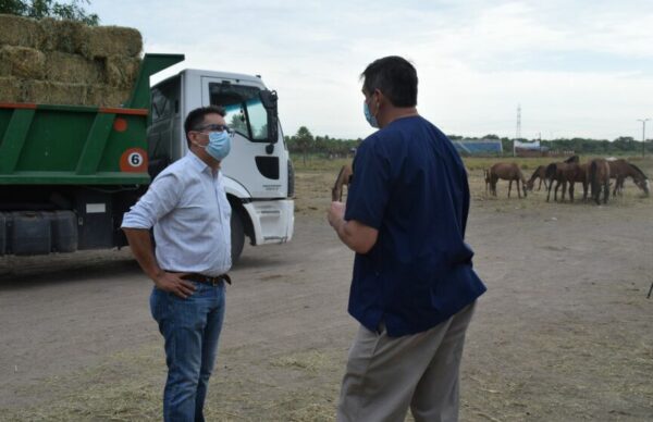 Resistencia: tras ser utilizados en el circuito callejero de karting, Gustavo Martínez entregó 2.500 fardos de alfalfa para alimentar a caballos en custodia judicial