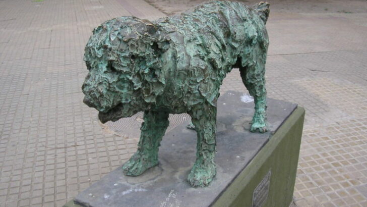 Un perro en el ojo de la escultura