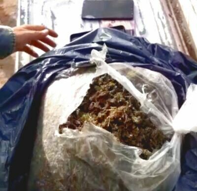 Castelli: arrojó casi 2 kilos de marihuana huyendo 3
