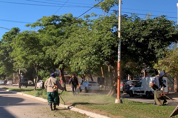 El Municipio de Resistencia realizó trabajos de limpieza en la avenida Rivadavia