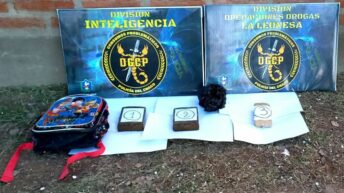 Golpe al narcomenudeo en Fontana: la Policía del Chaco secuestró más de 1 kilo de marihuana