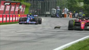 GP de Canadá: una marmota en pista asustó a Carlos Sainz y Fernando Alonso