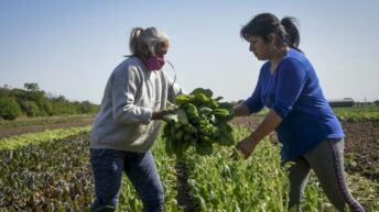 Afirman que las mujeres en el sector agropecuario “sólo acceden a un 18% de su patrimonio»