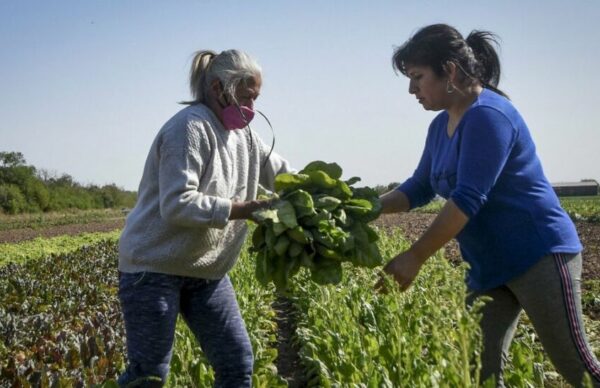 Afirman que las mujeres en el sector agropecuario “sólo acceden a un 18% de su patrimonio" 1