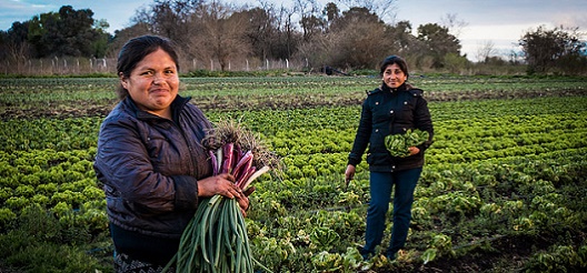 Afirman que las mujeres en el sector agropecuario “sólo acceden a un 18% de su patrimonio" 2