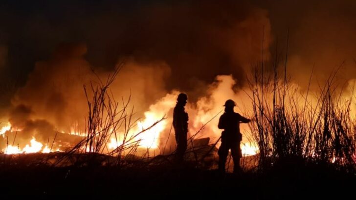 Incendios sin control en Grecia: ya consumieron más de 2.500 hectáreas de un parque nacional