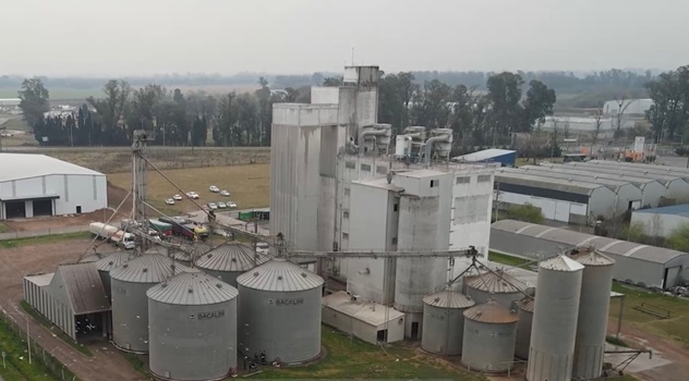 Evasión de granos: la AFIP incautó 2.400 toneladas