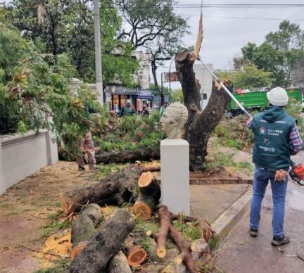Resistencia: tras el temporal, que generó vientos de más de 80 kilómetros por hora, empleados municipales despejaron árboles y ramas caídas 1