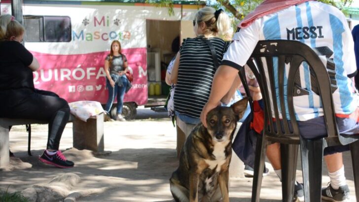 Con 22 mil castraciones de perros y gatos, el programa “Mi Mascota” continúa recorriendo los barrios de Resistencia